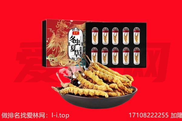 大连庄河市回收虫草.jpg